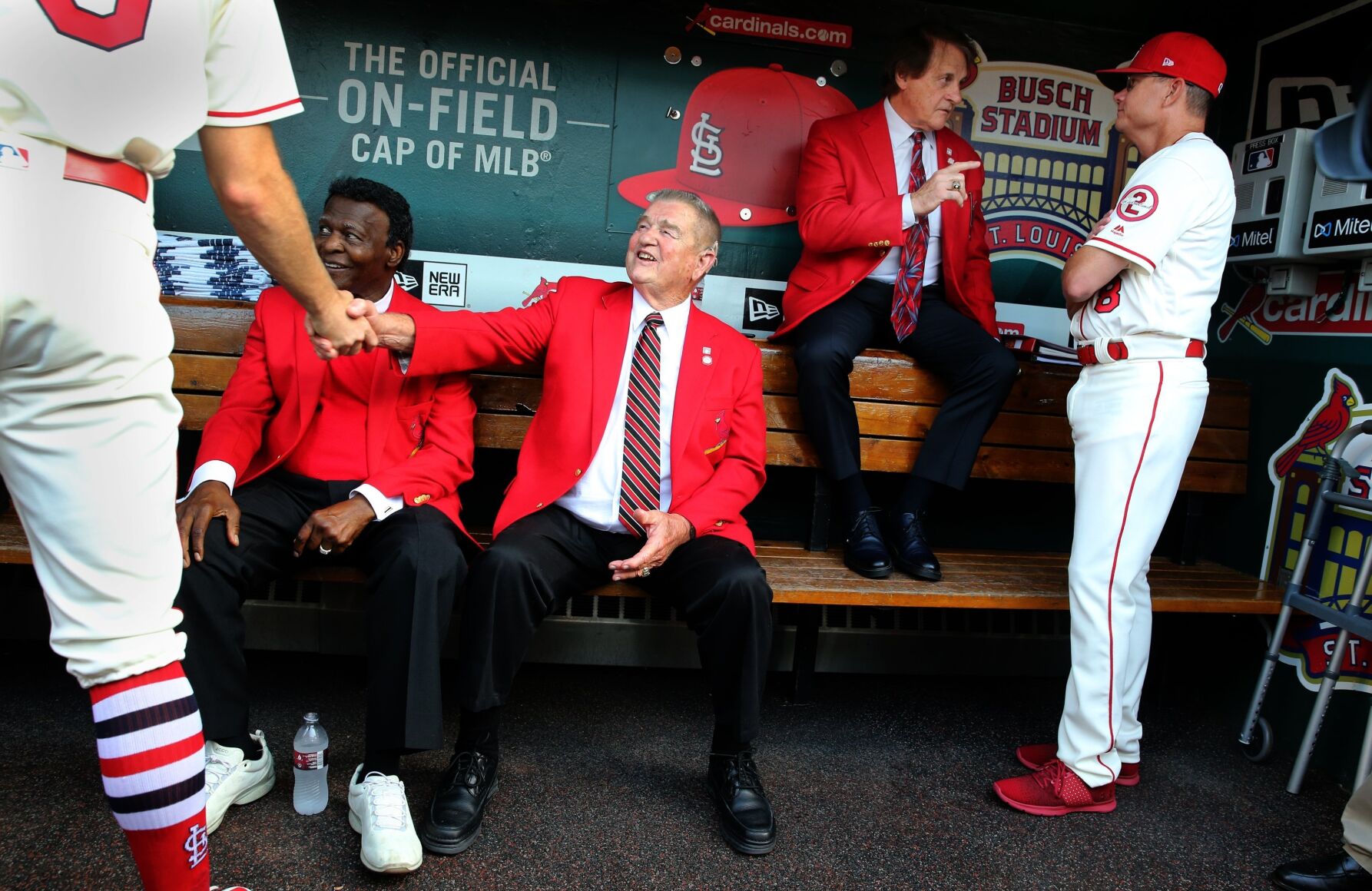 Cardinal managers in the dugout in 2018